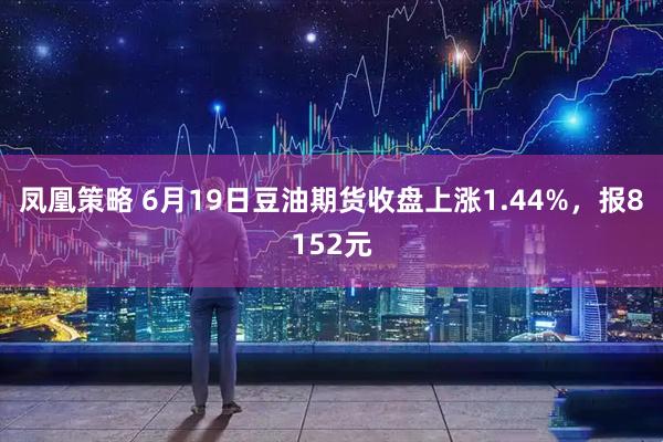 凤凰策略 6月19日豆油期货收盘上涨1.44%，报8152元